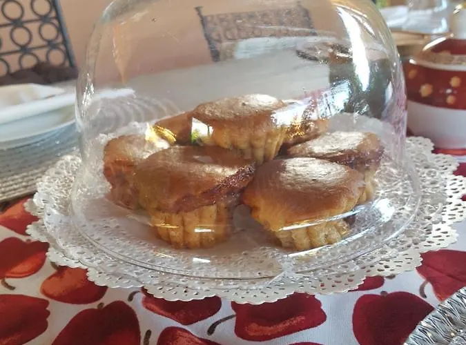 Bed & Breakfast Pin De Stelle San Martino (Savona)