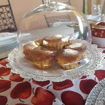 Bed & Breakfast Pin De Stelle San Martino (Savona)
